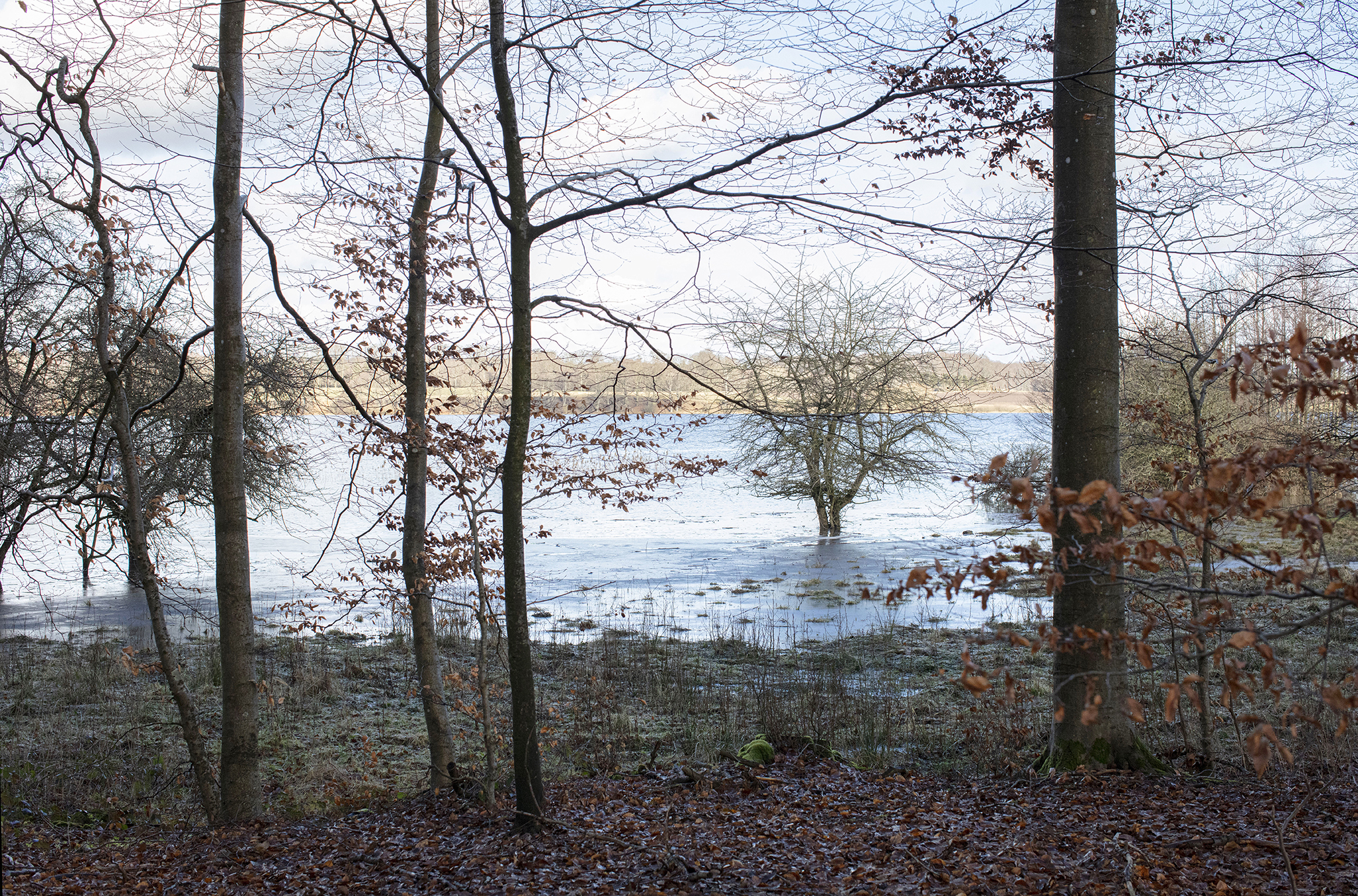 Dyrehavehuset ved Tystrup Sø